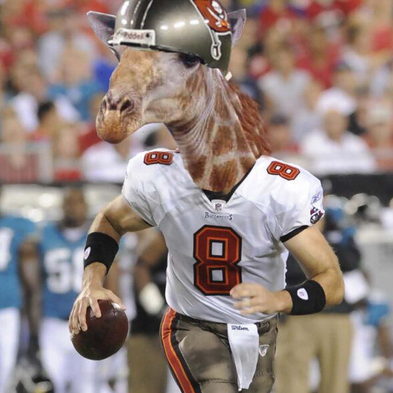 PiratesRealm's profile picture. Your one stop source for all Tampa Bay Buccaneer news, events and information. Go Bucs!