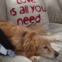 Alyssa Held - @ALHChef - Twitter