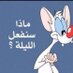 كويتي مملوح (@ssqqggjjj) Twitter profile photo كويتي مملوح (@ssqqggjjj) Twitter profile photo