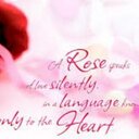 serenity (@13serenitylove) Twitter