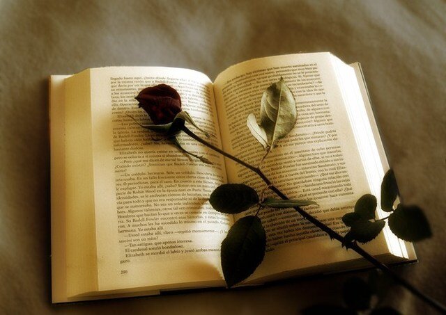 CunitDeptCast's profile picture. Twitter del Departamento de Lengua Castellana y literatura, y Clásicas del instituto Ernest Lluch i Martín (Cunit). Declaraciones de amor