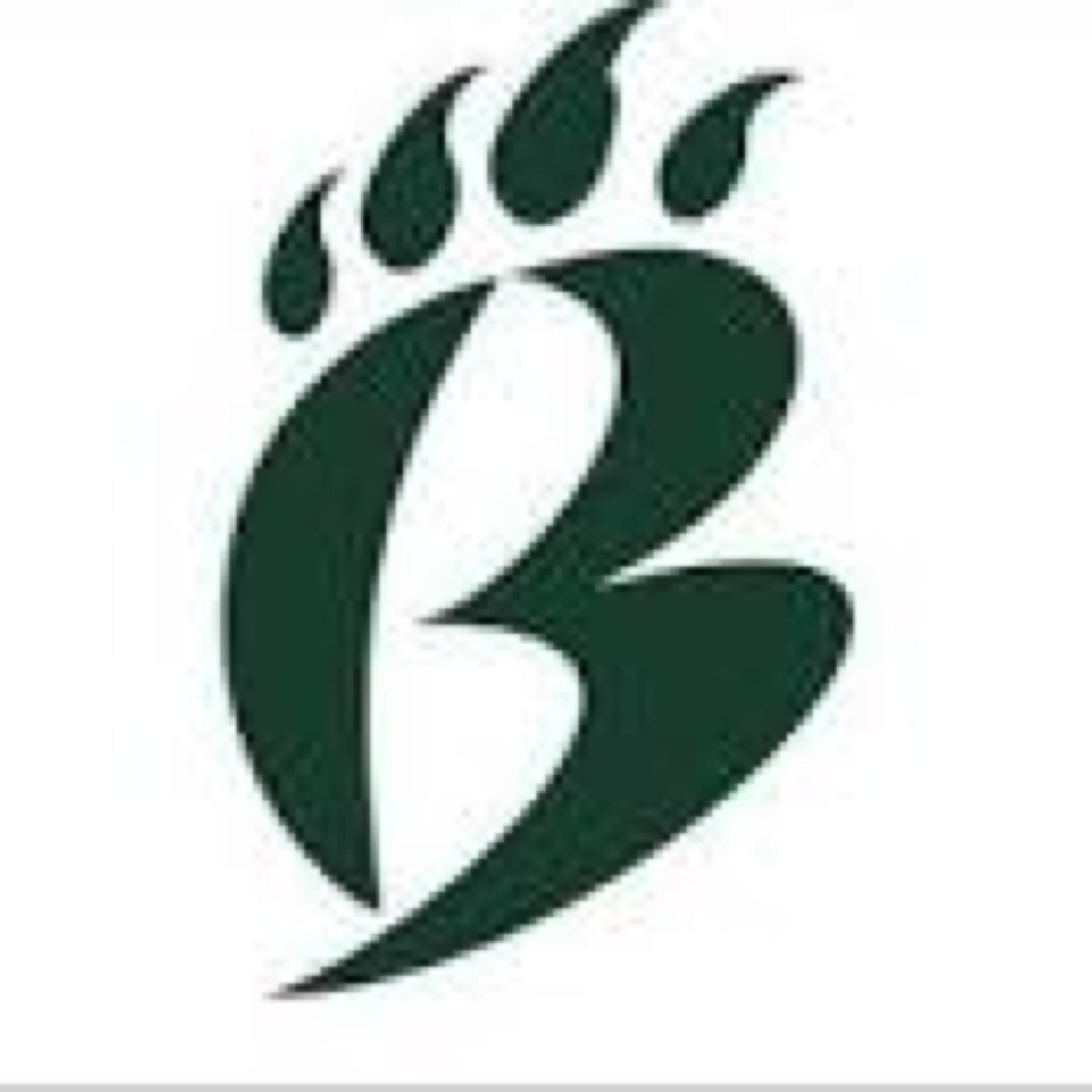 BestofBrashier's profile picture. BMC students who love to highlight the accomplishments and good works of other students.