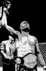 REAL FIGHTS....MMA FOR REAL MMA FANS.....