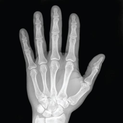 DoctorMattyP's profile picture. Pass the Health.