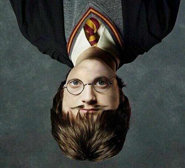 Harry Potter (@HPotterHumor) | Twitter