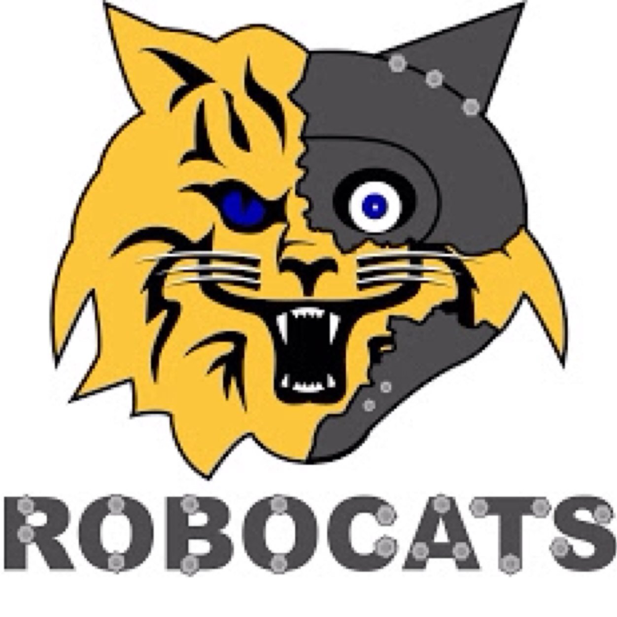 FTC team 6546 RoboCats