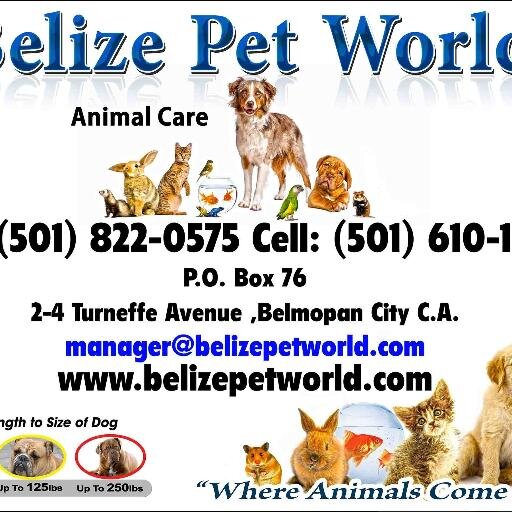 Belizepetworld's profile picture. With our unique selection of products and quality services, we have gained a reputation for offering unbeatable prices on branded items.