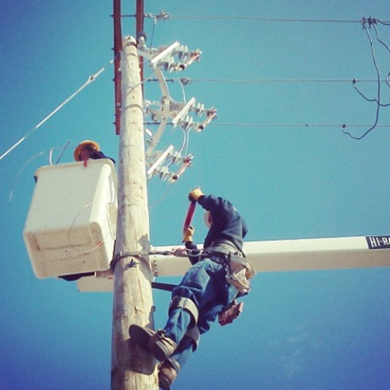 brady_larson's profile picture. 