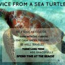 Lisa Linnell - @LKLinnell - Twitter