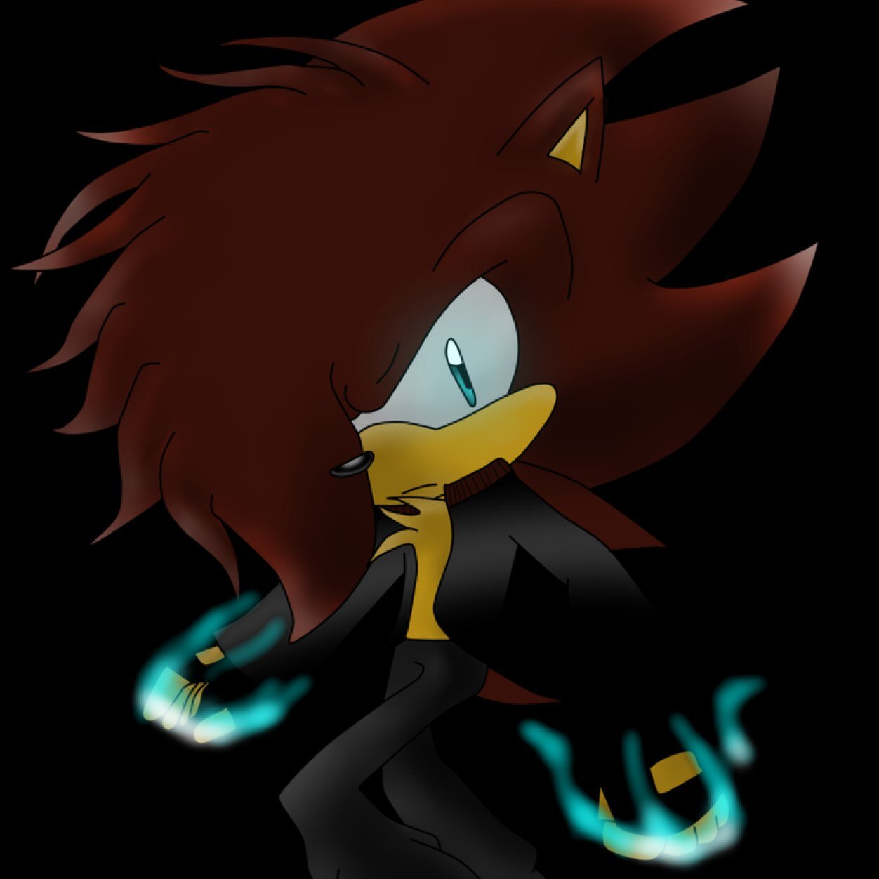 I'm Zonic......zonic the hedgehog but I don't remember nothing the anything I can't remember, is neme hmm... my powers I don't know if I have powers. [#RP]