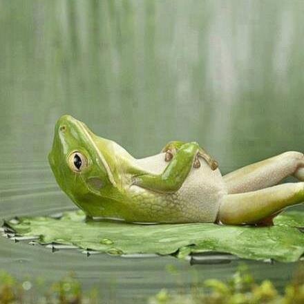 JFrsCote's profile picture. 