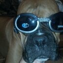 Jeri Stout - @jeristout - Twitter