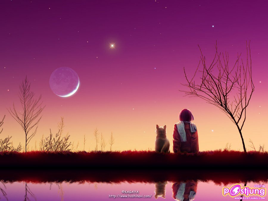 bang_on maungcharoun  52year_ old  have one son. broken heart ..need someone have is  really heart and true.person .kind  not lie . honest stay
whit me.forever