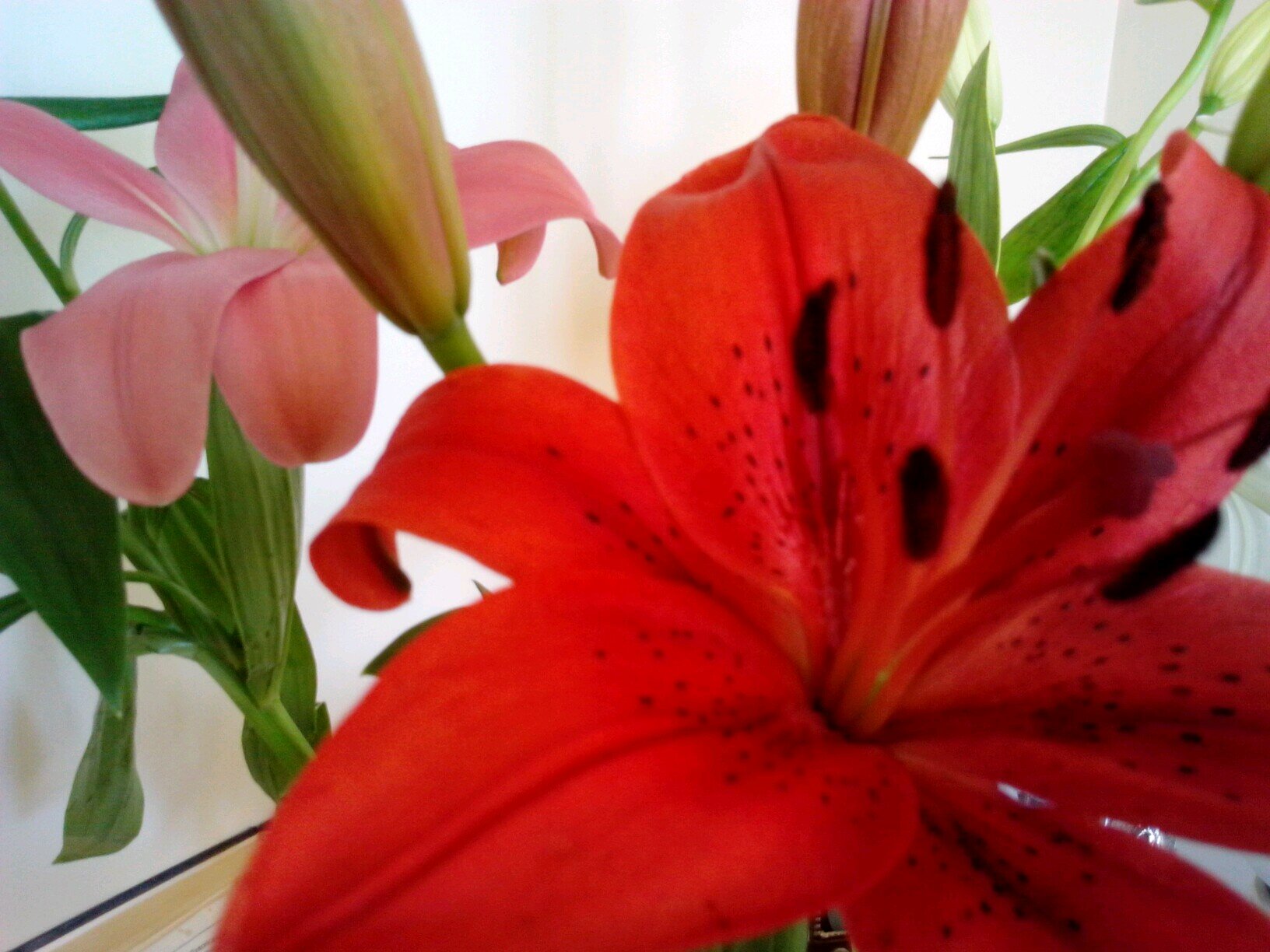 lourriagna's profile picture. 