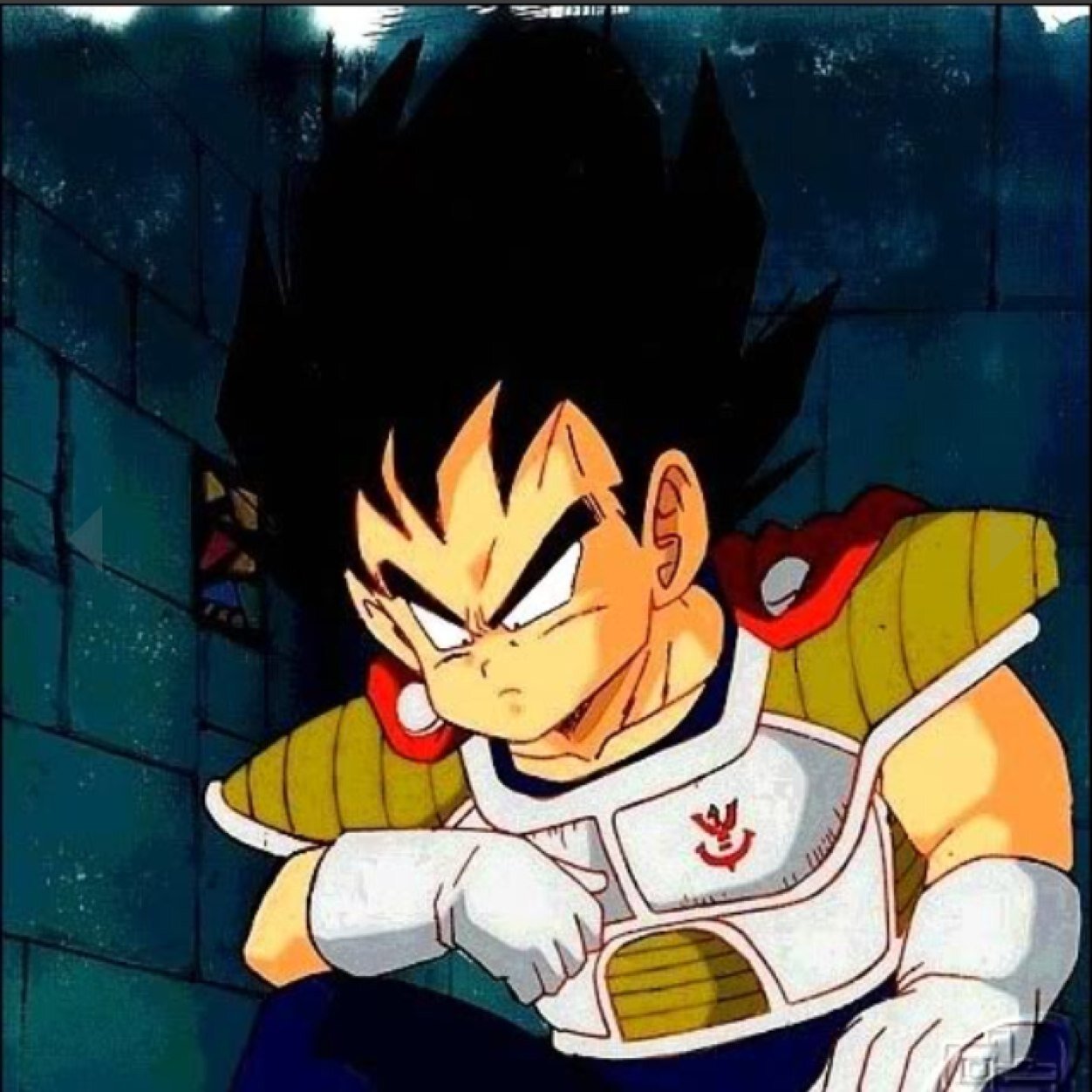 Hello pests! I am The Prince Of All Saiyans! You shall bow down before greatness.