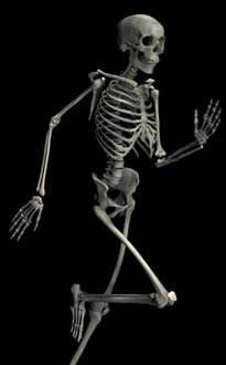 SportsMedTT's profile picture. A place to revive those Sports Medicine papers that are oldies but goodies every Thursday.  Use #SportsMedTT to joint in.  All welcome.  Curated by @ARDempsey