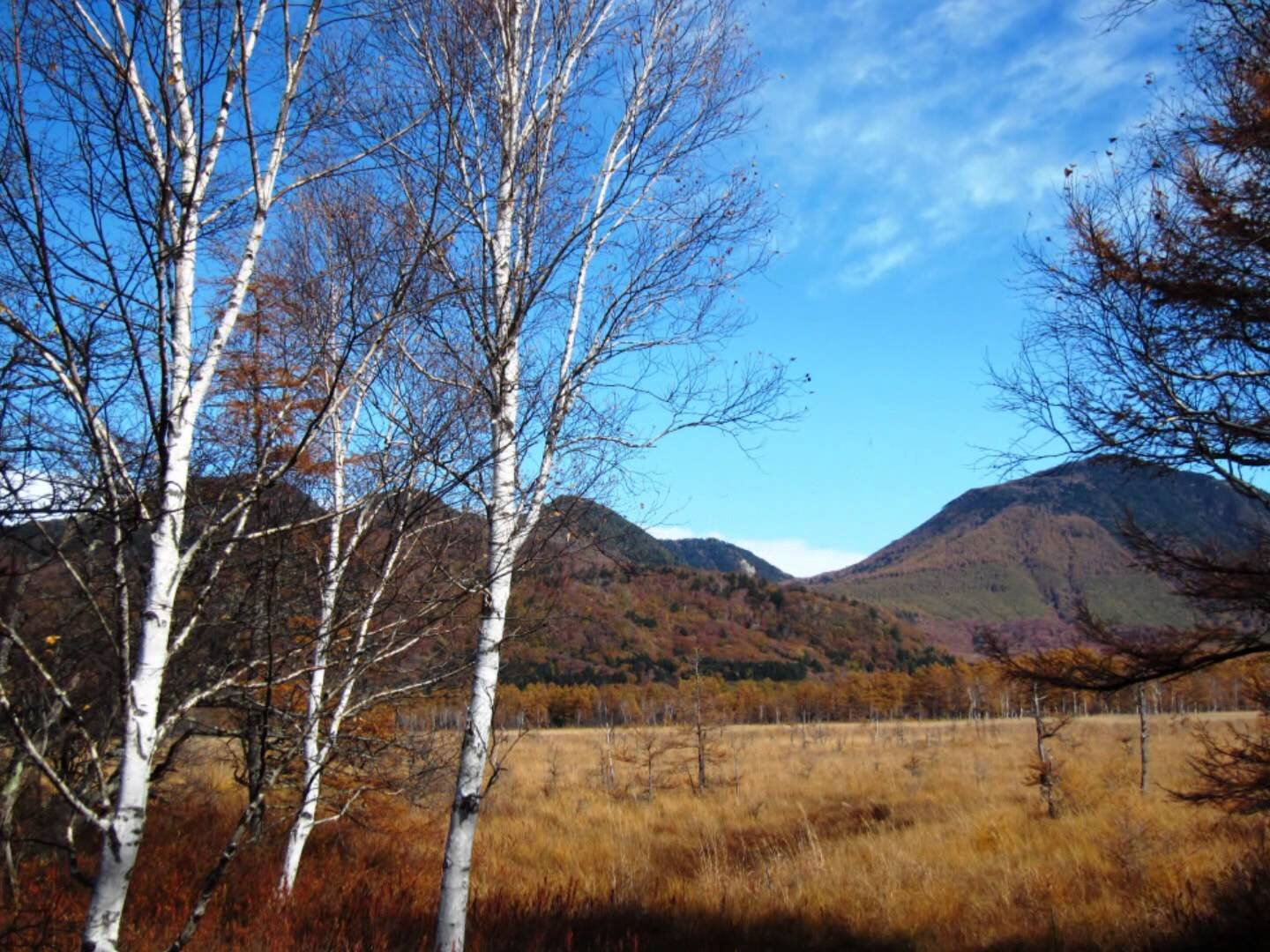 strtmsentont's profile picture. 池谷直樹さんの筋肉やばい！！！