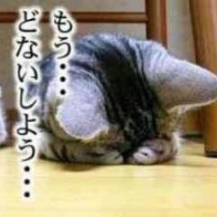 gohantaberuo's profile picture. 