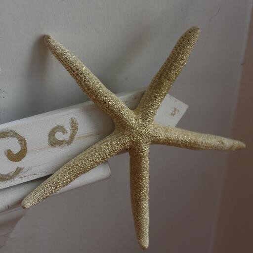 BeachBlurbs's profile picture. Unique Beach Décor. One of a Kind Signs Inspired by the Beach and Ocean