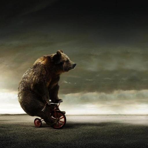 HarryTuuk's profile picture. 