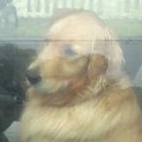 Kathryn Hadley (@kathrynhadley3) 's Twitter Profile