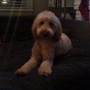 Christopher Ethier - @chrisethier7 - Twitter