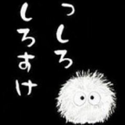 まっしろしろすけ Siro4511 Twitter まっしろしろすけ Siro4511 Twitter