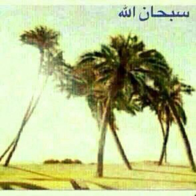 وافوض امرى إلى الله إن الله بصير بلعباد
