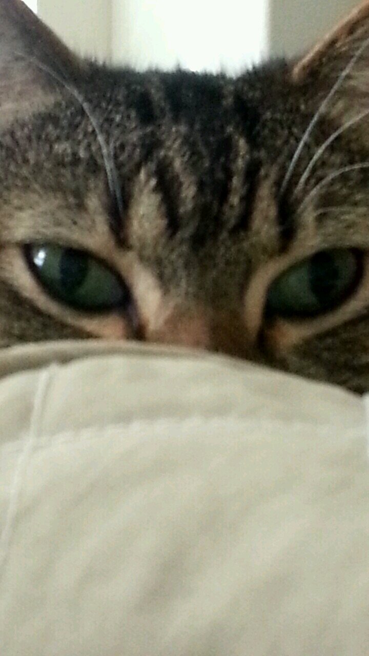 An introspective and it's a snooze.