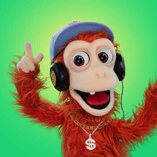 ZooMoo is a fun new TV channel for kids, and everyone else! It's all animals, all the time!