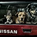 JoAnn Ball - @jojoball1989 - Twitter