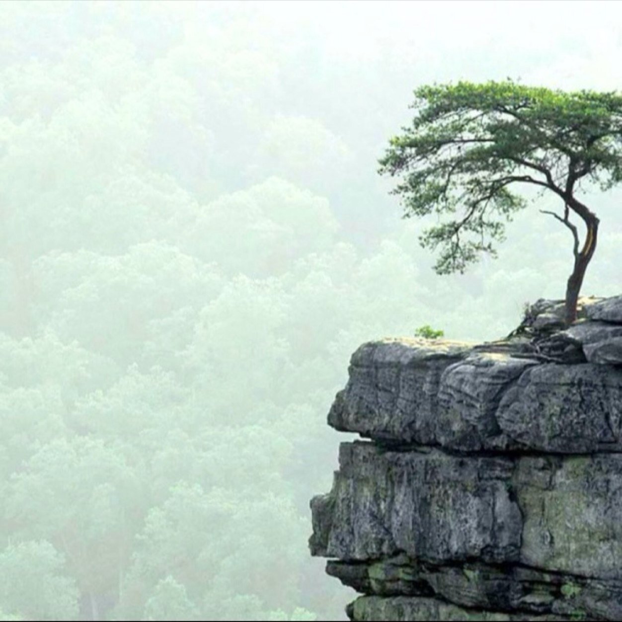 kong0423's profile picture. 일하는 사람(Laborer).이윤을 남기지 않는 삶.崖松.디아트리베.천의무봉.트윗은 독백.