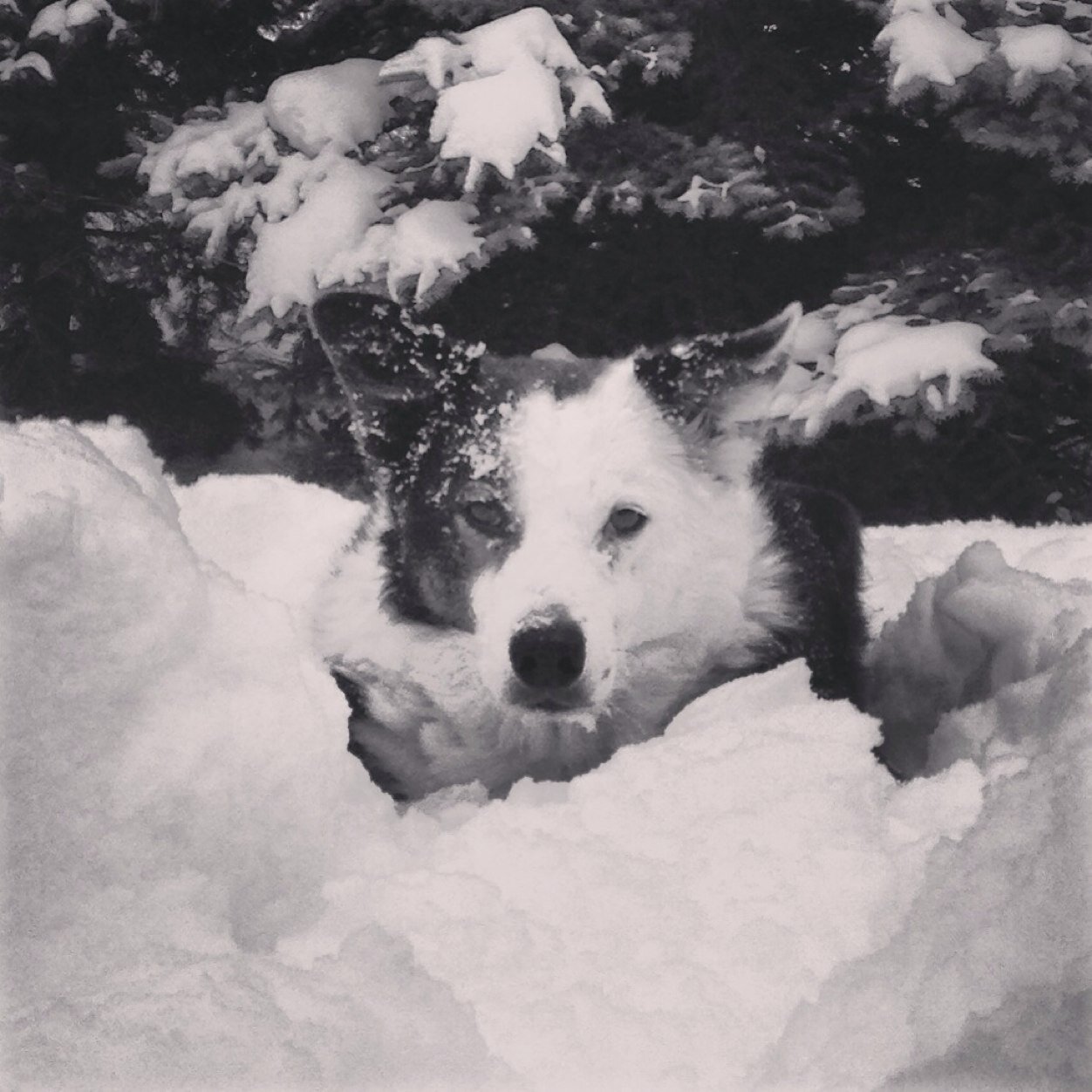 Aecc912's profile picture. 