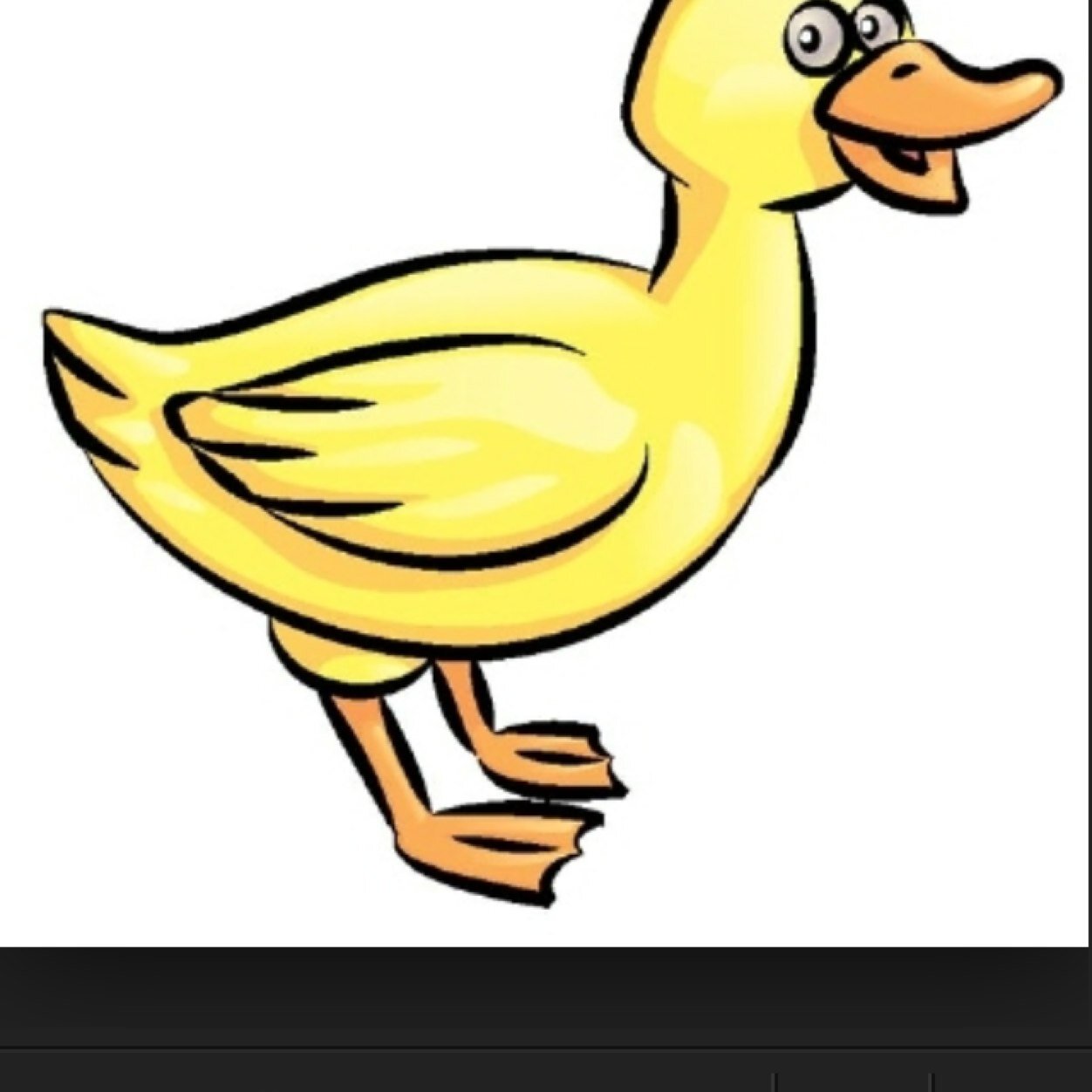 quack quack