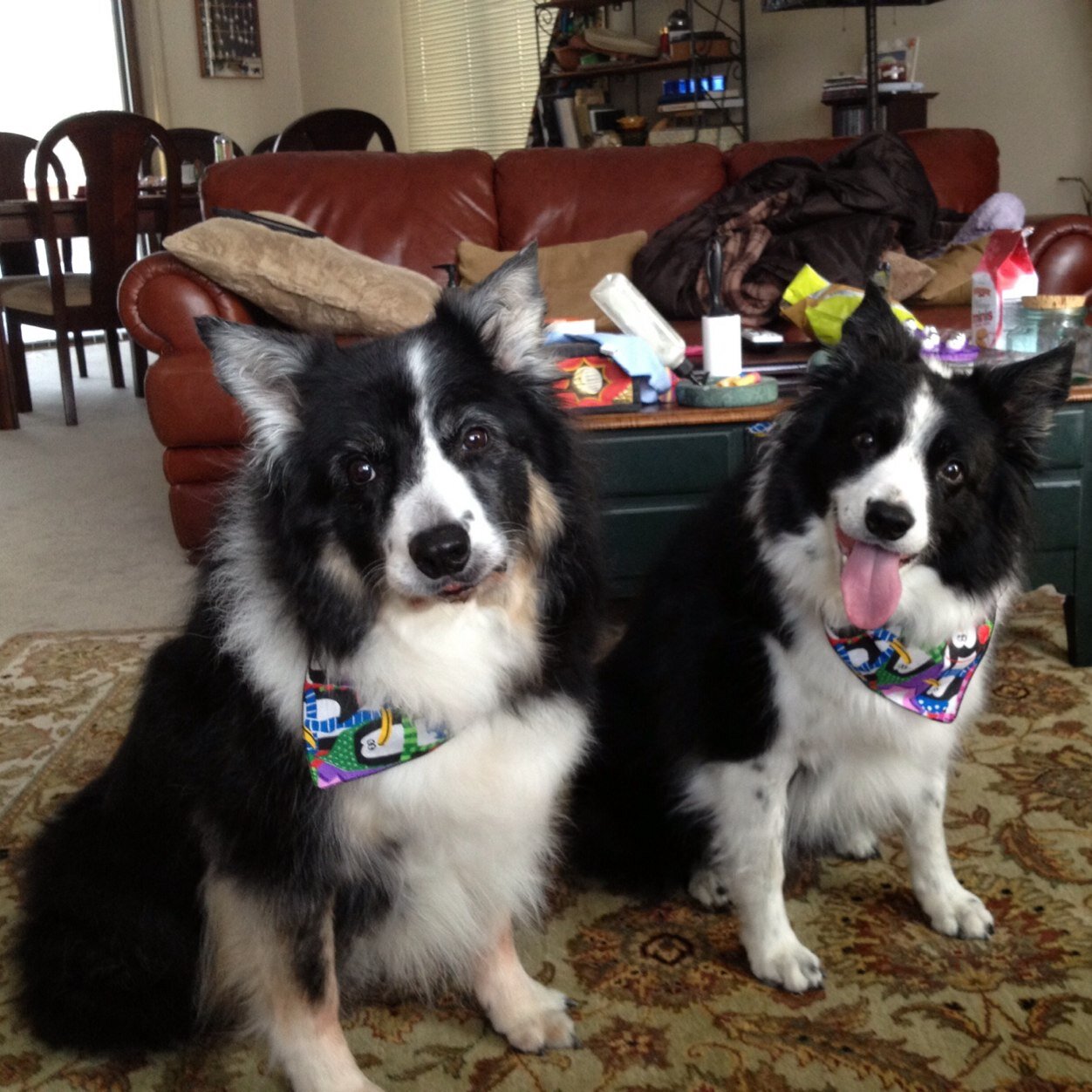 leepermiller's profile picture. 