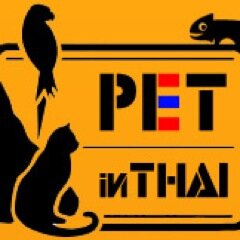 แหล่งรวมทุกเรื่องเกี่ยวกับสัตว์เลี้ยง แบบครบวงจร ไม่ว่าจะเป็นตลาดซื้อขายฟรี สุนัข แมว และสัตว์เลี้ยงอื่นๆ รูปภาพ สายพันธุ์ บทความ ข่าวสาร แนะนำบริการ คลิปวีดีโอ