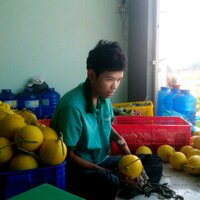 Nguyễn Minh Chất (@nguyenminhchat) 's Twitter Profile