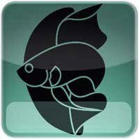 We are an enthusiast group of breeders and keepers sharing our knowledge, showing our fish and enjoying all things Betta - Social assets managed by Ness Flett