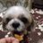 puchico123620's profile image