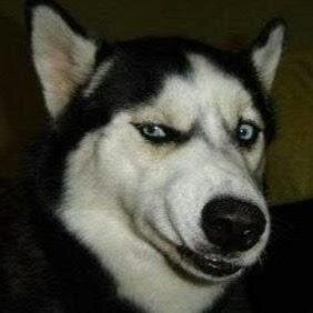 papatanin's profile picture. 