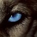 Finnmarksløpet (@finnmarkslopet) Twitter profile photo Finnmarksløpet (@finnmarkslopet) Twitter profile photo