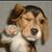 Rustam_85_'s profile image