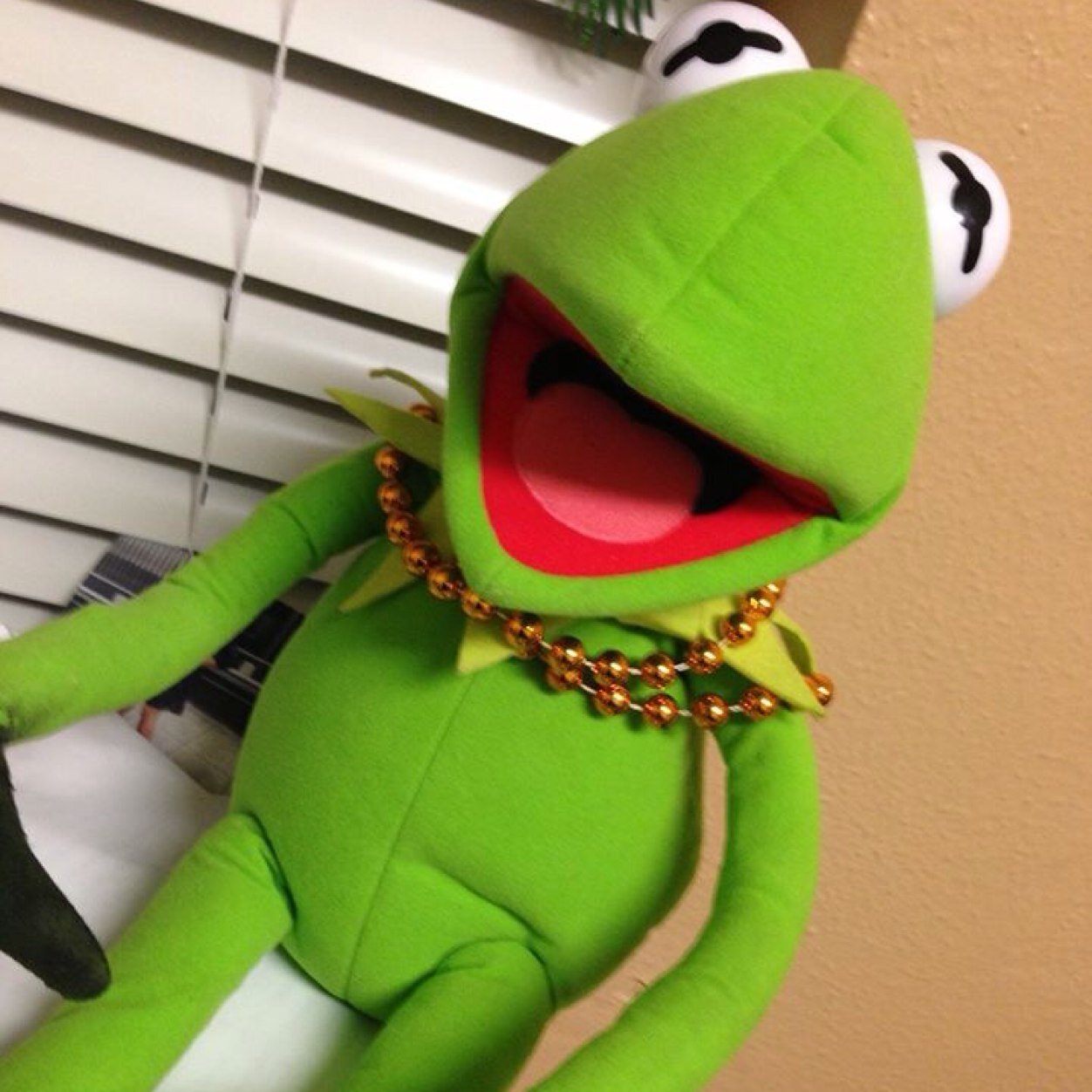 GreensAPO's profile picture. The family thats worth more than your bills... THE GREENS!! #DollaDollaBillsYall 

Carribean Amphibian :)