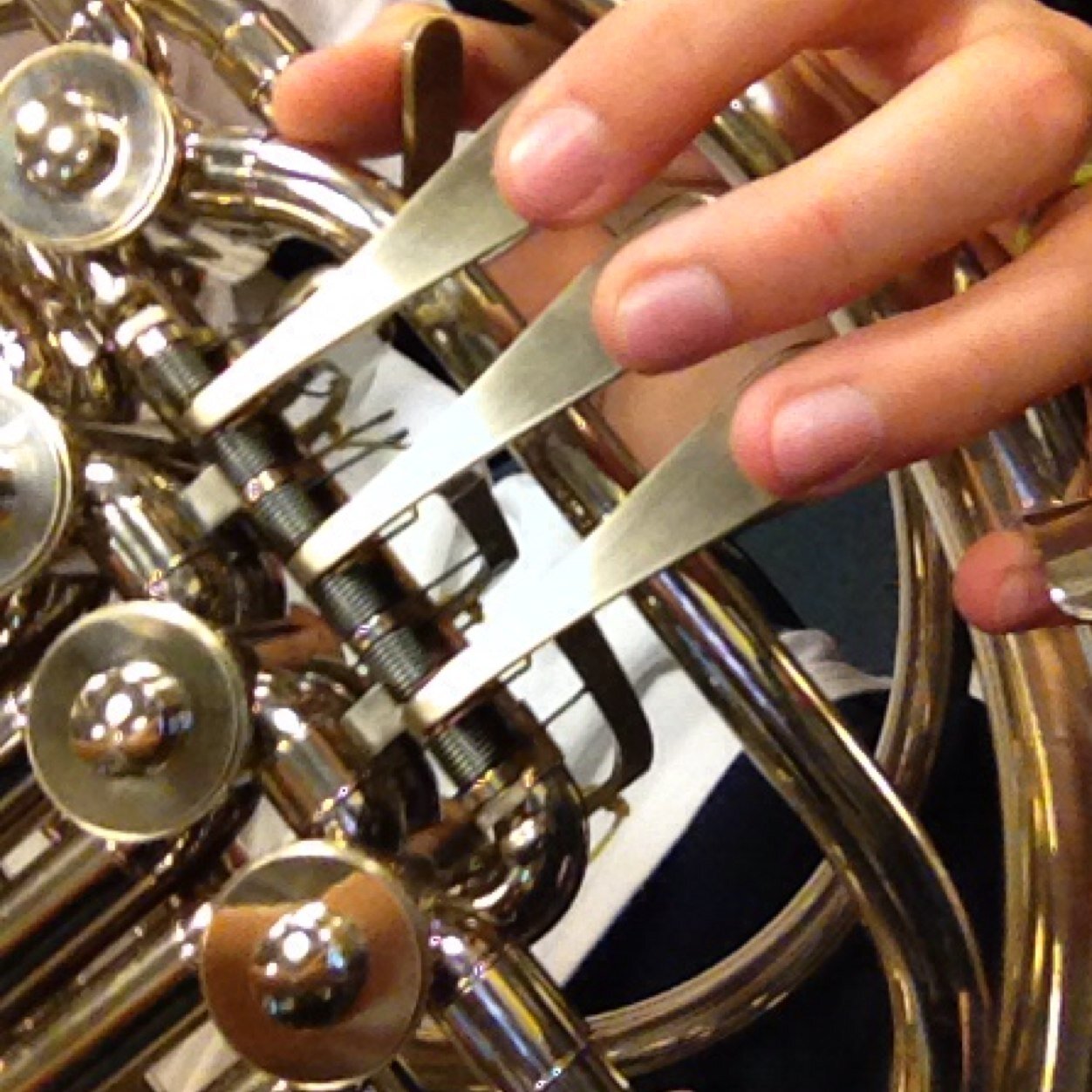 Freshman Horn Player, 15 Mellophones unite to form the MelloFriends. DCI Ambassador #GrowDrumCorps