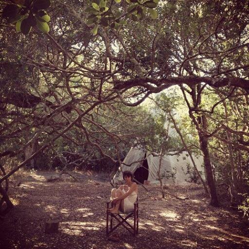 amibogen's profile picture. curator · creative consultant · loves design and the African bush