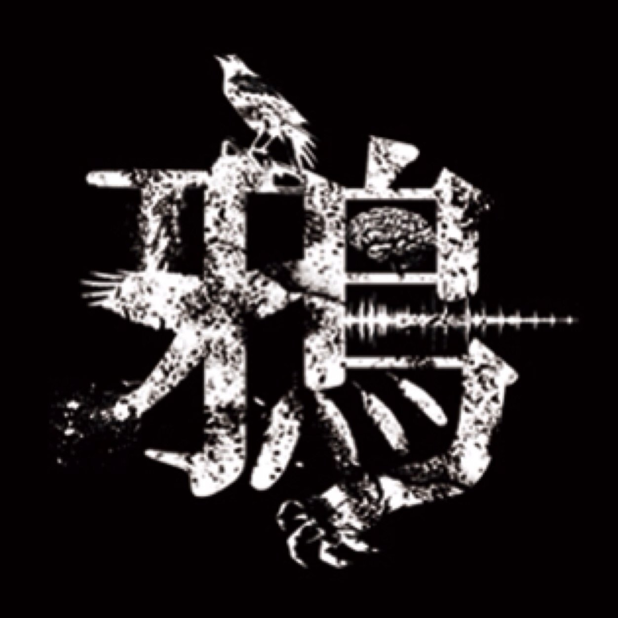 seekjpn Profile Picture