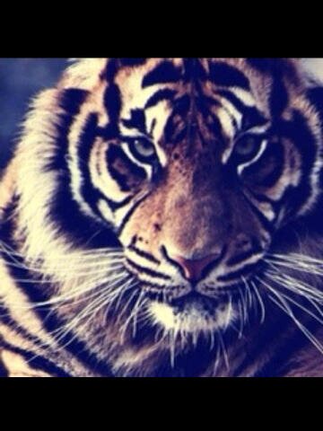 ‏‏سلك تتعب ،  زبد ترتاح‎.