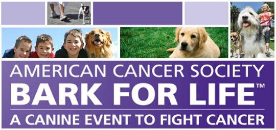 sacbarkforlife's profile picture. Bark For Life Sacramento 2015 dates will be announced soon! Sign up at: http://t.co/ysPAZYGqEL Come join the fun and let's #finishthefight
