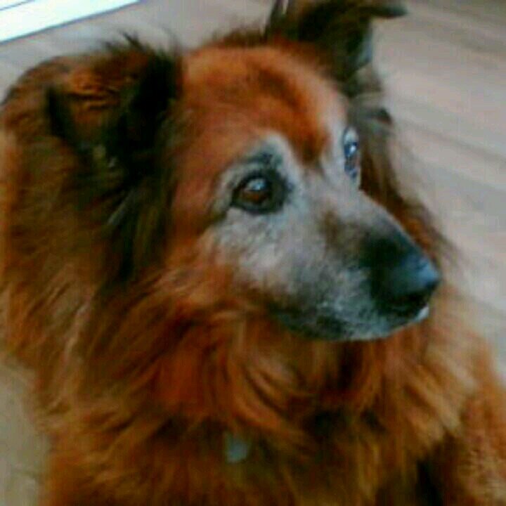 LarnSally's profile picture. 