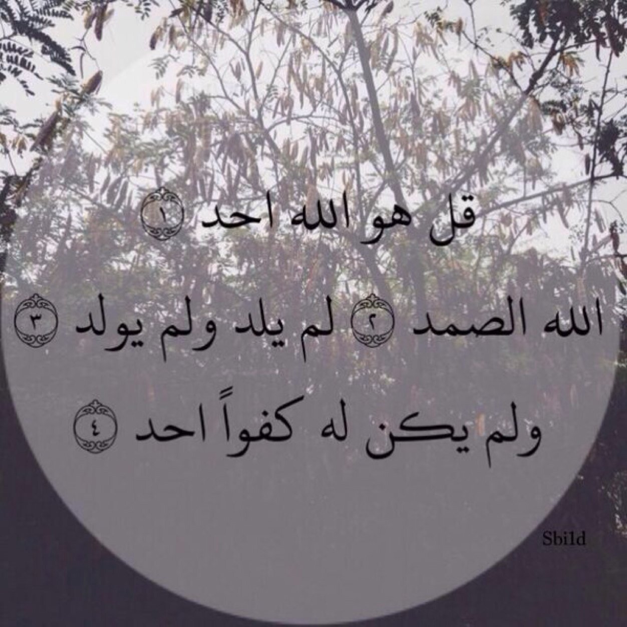 ✨الاجر لي ولك ولاهلي ✨